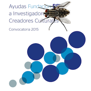 Ayudas Fundación BBVA a investigadores y creadores culturales